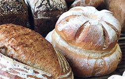 Bread Baking Fundamentals