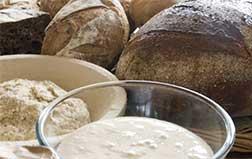 Introduction to Sourdough Baking