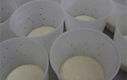 Professional Soft and Lactic Cheesemaking
