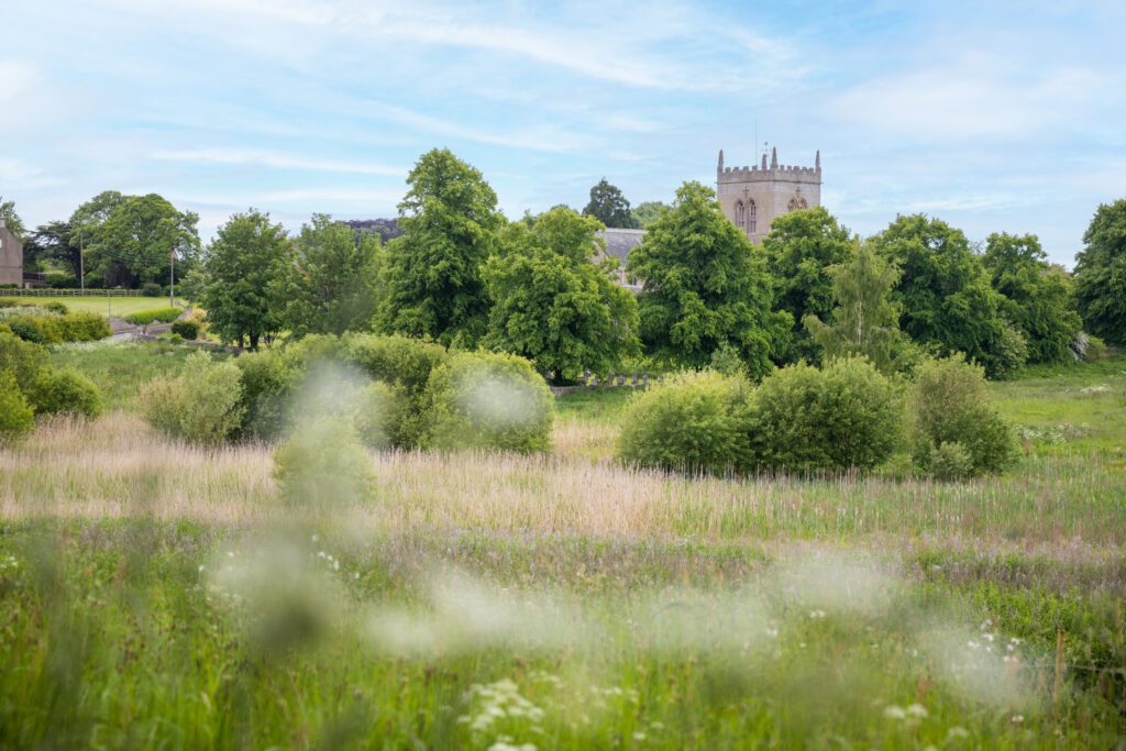 Cuckney Water Meadows on the Welbeck Estate