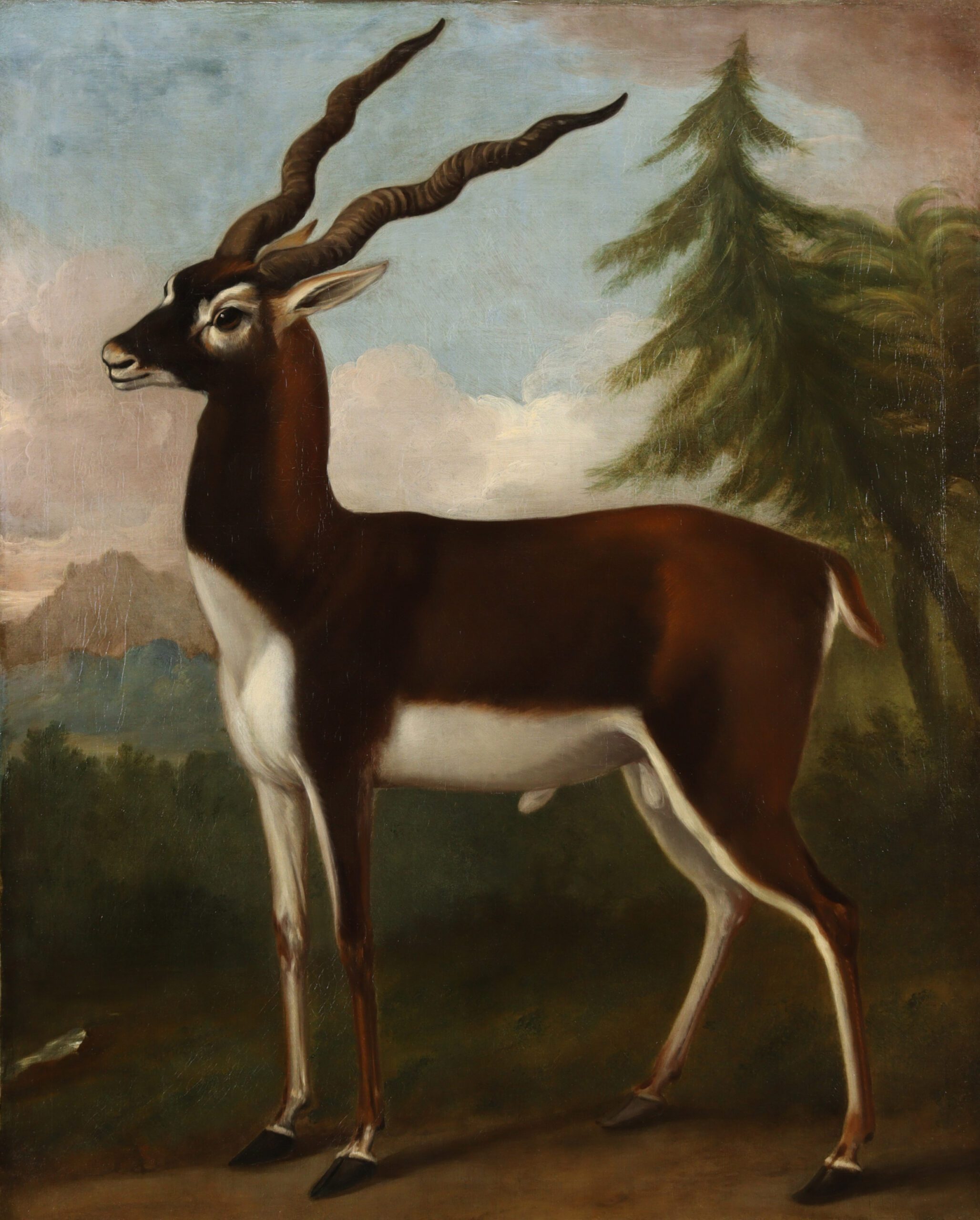 Wolf and Antelope, John Wootton, c.1720. © Harley Foundation, The Portland Collection