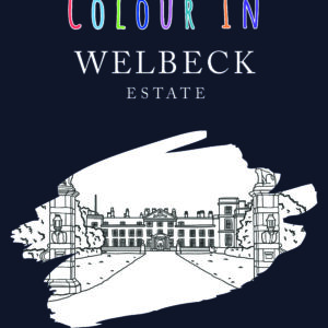 The Welbeck Colouring Book